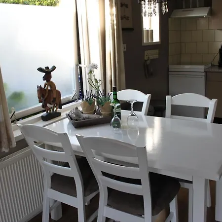 Vakantiehuis De Molen 펜션 덴버크